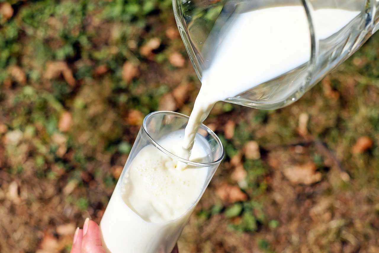 Hafermilch: Der Milchersatz als Superdrink