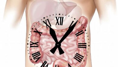 Hat Magenknurren etwas mit der Fettverbrennung zu tun?