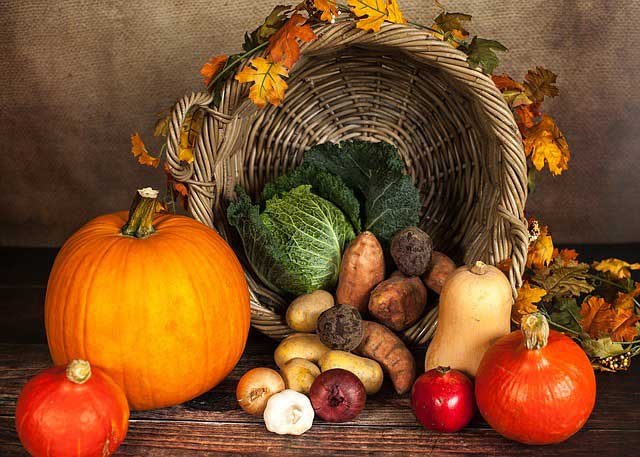 Veganer Saisonkalender Herbst: Alles, was jetzt Saison hat!